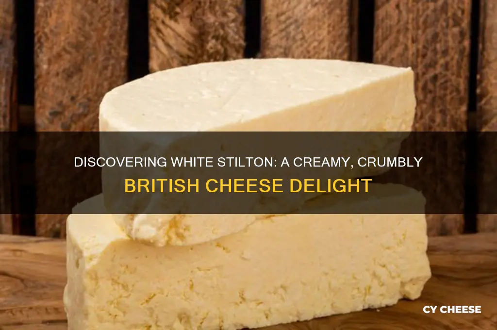 what is white stilton cheese
