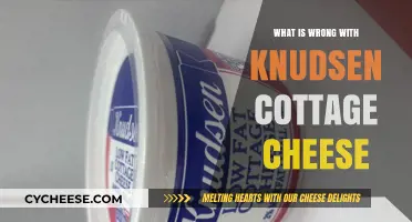 Knudsen Cottage Cheese Concerns: Uncovering Quality and Taste Issues