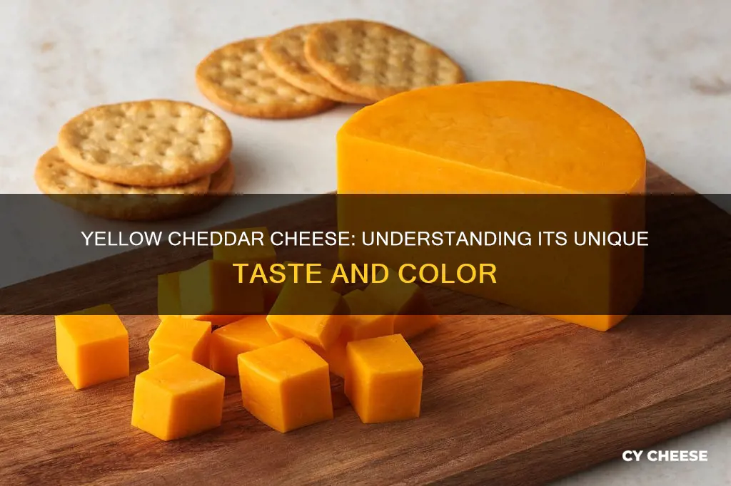 what is yellow cheddar cheese