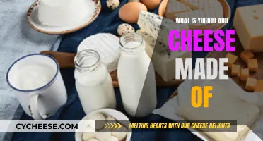 Dairy Delights: Yogurt and Cheese's Common Ingredient