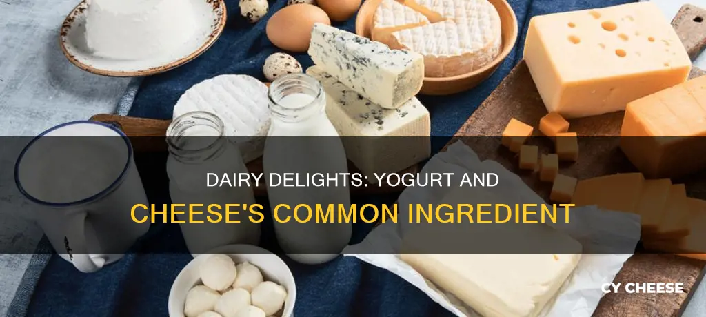 what is yogurt and cheese made of