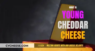 Unveiling the Secrets of Young Cheddar: A Delicious Adventure