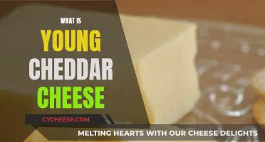 Young Cheddar Cheese: A Delicious, Creamy Treat