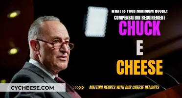 Compensation Requirements for Chuck E. Cheese Employees