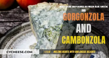 Blue Cheese, Gorgonzola, Cambozola: What's the Real Difference?