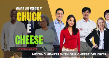 Chuck E. Cheese: Fun, Frenetic, and Frantic Work Life