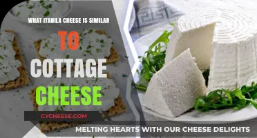 Itanila Cheese vs Cottage Cheese: Texture, Taste, and Uses Compared