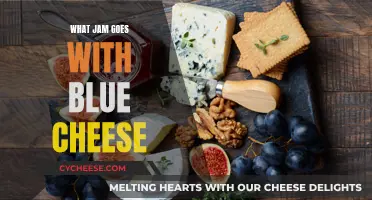 Blue Cheese's Sweet Companion: The Best Jam Pairings