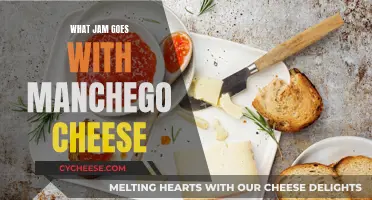 Jam Companion for Manchego Cheese: Best Pairing Options