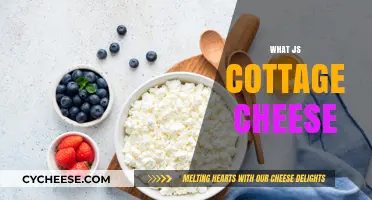 What is Cottage Cheese? A Complete Guide to Its Benefits and Uses