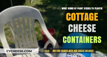 Best Paint Types for Adhering to Plastic Cottage Cheese Containers