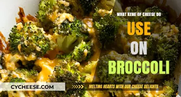 Cheese and Broccoli: Perfect Pairing