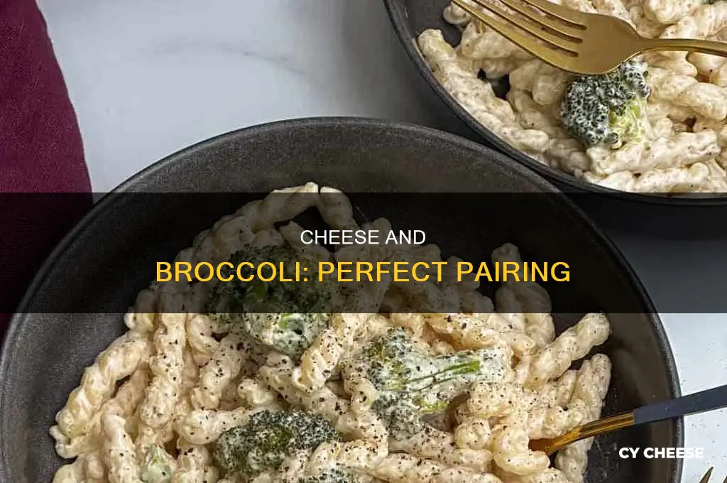 what kene of cheese do use on broccoli