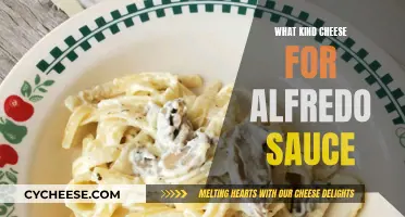 Cheese Options for a Delicious Alfredo Sauce