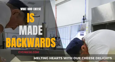 Cheese Making: Backwards and Basics Explained