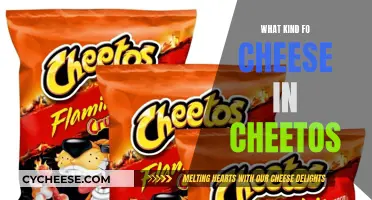 Cheetos' Cheese: What's the Secret Ingredient?