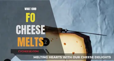 Cheese Melting 101: Mastering the Art of Gooey Deliciousness