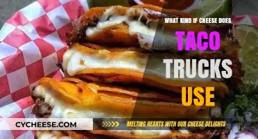 Tasty Truck Treats: What Cheeses Melt Best?