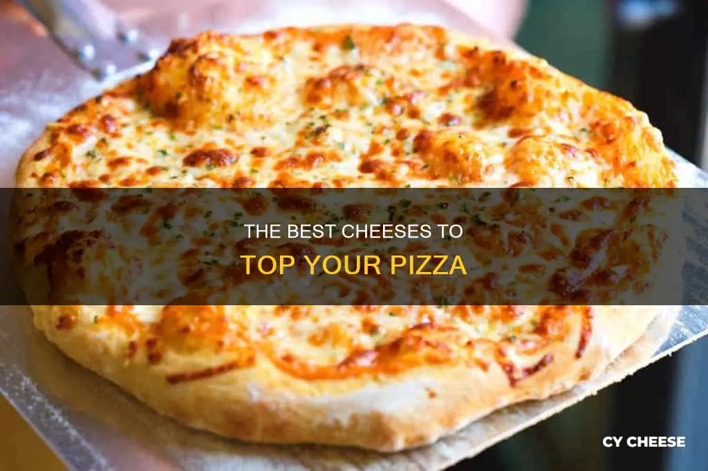 what kind if cheese goes on pizza