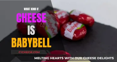 Babybel: A Soft, Wax-Covered Cheese for All Ages