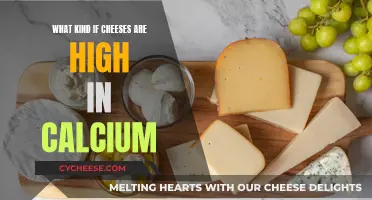 Best Cheeses for Calcium Intake: High-Calcium Delicacies