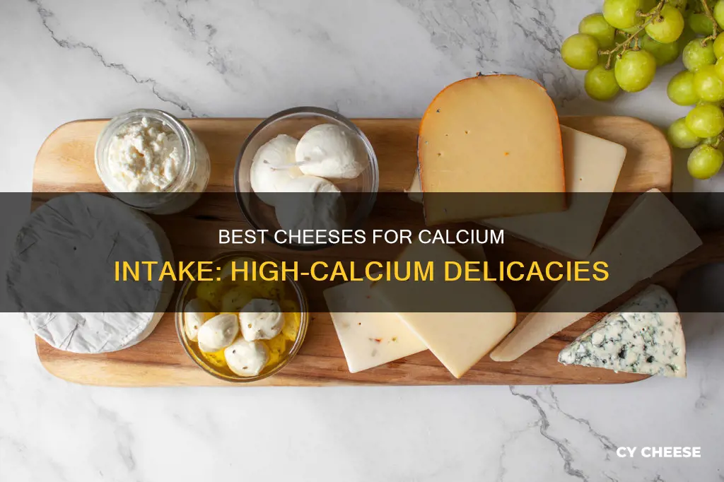 what kind if cheeses are high in calcium