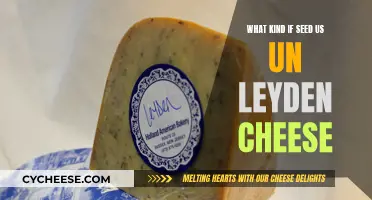 Leyden Cheese: Secrets of Its Seeds