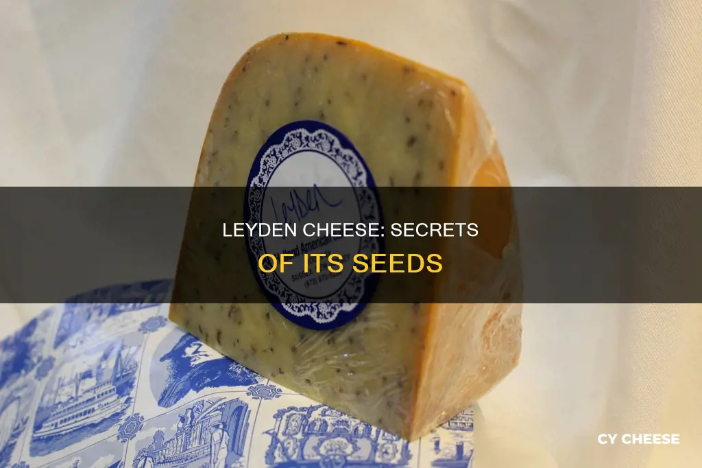 what kind if seed us un leyden cheese