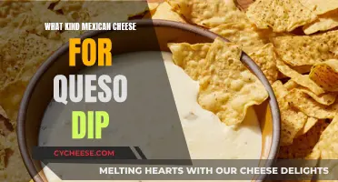 Best Mexican Cheeses for a Delicious Queso Dip