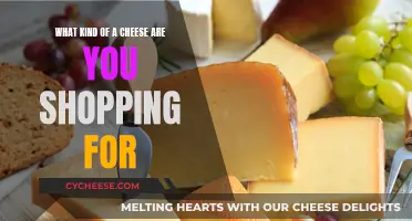 Shopping for Cheese: A Guide to Cheeses for Every Taste