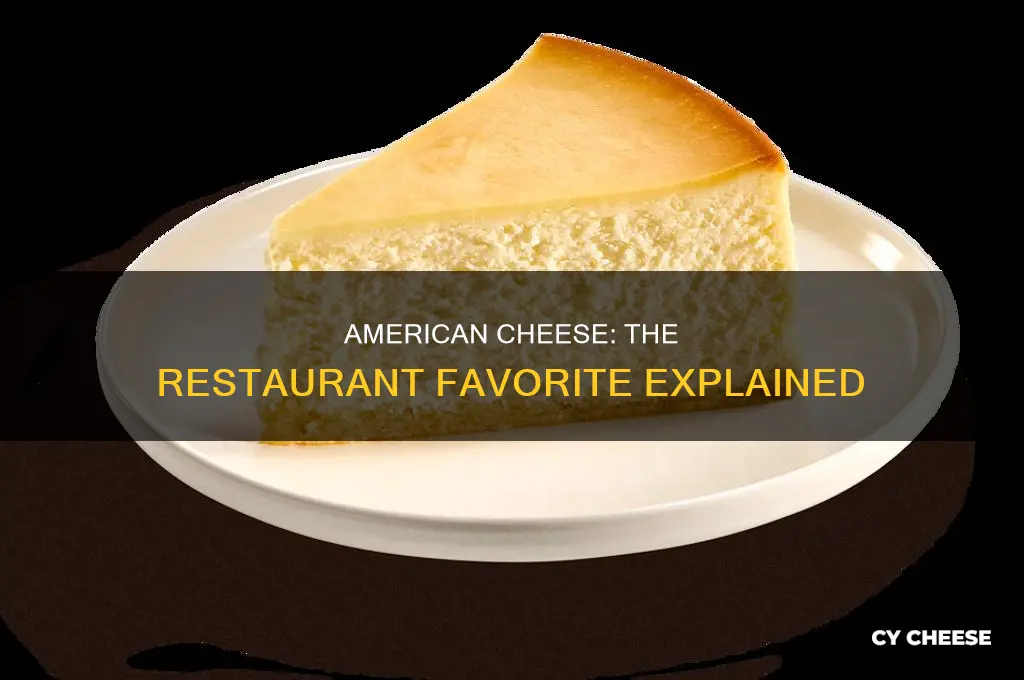 what kind of american cheese do restaurants use