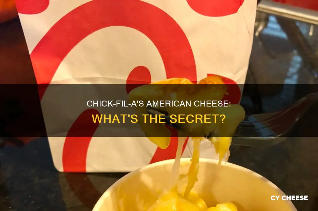 what kind of american cheese does chick fil a use