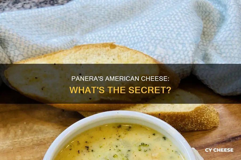 what kind of american cheese does panera use