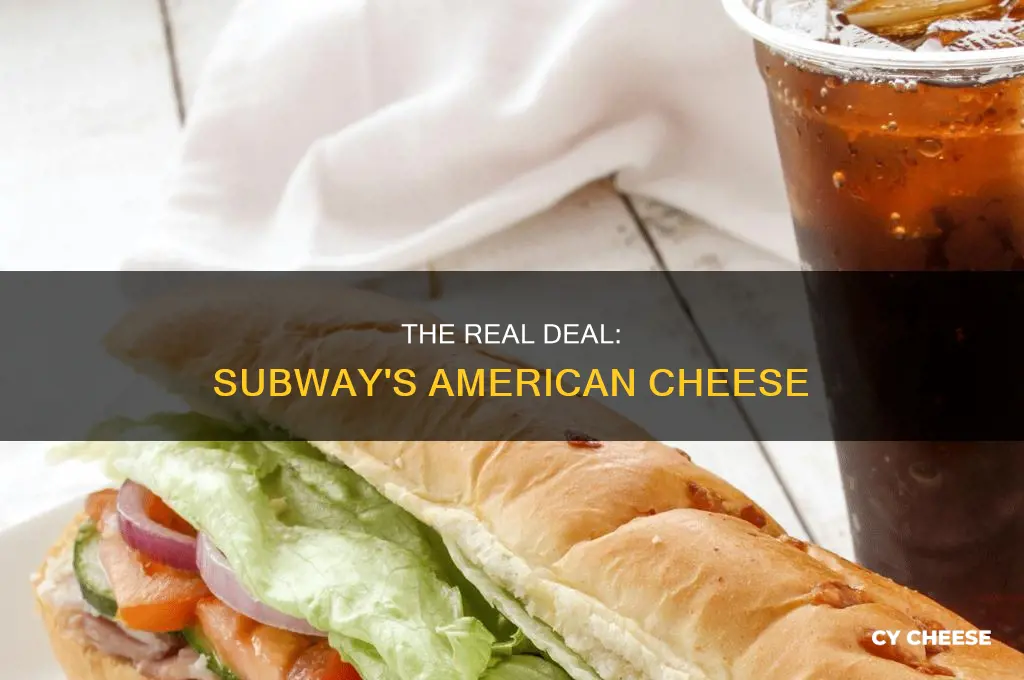 what kind of american cheese does subway use
