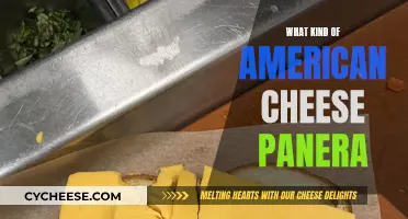 Panera's American Cheese: What Kind and Why?