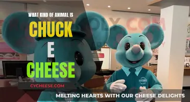 Chuck E. Cheese: A Mouse or Something Else?