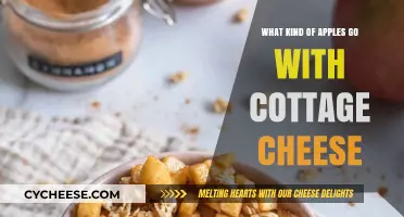 Best Apples to Pair with Cottage Cheese for a Perfect Snack