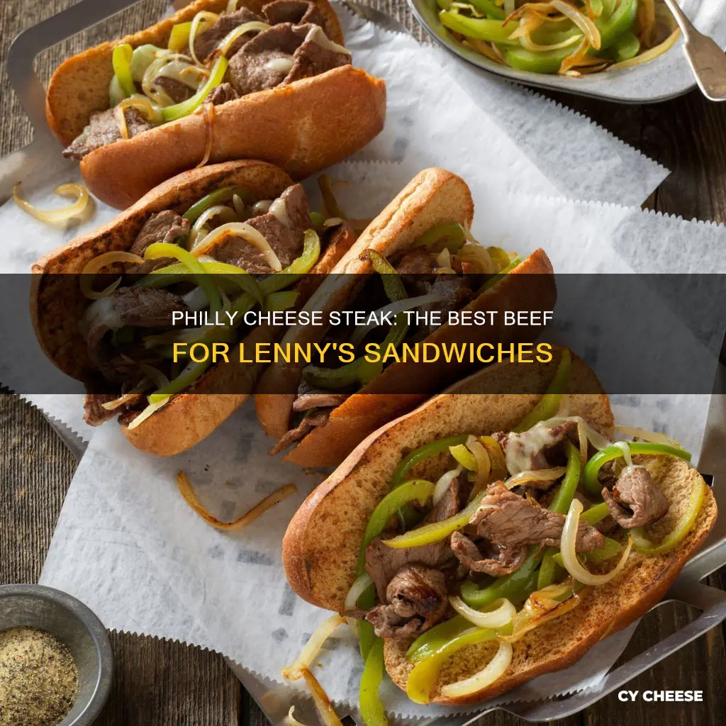 what kind of beef for lenny