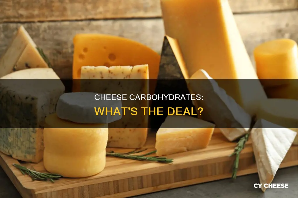 what kind of carbohydrate is cheese