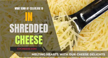 Shredded Cheese: Cellulose Type and Functionality Explained