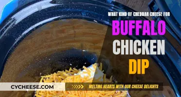 The Ultimate Cheddar Choice for Creamy Buffalo Chicken Dip