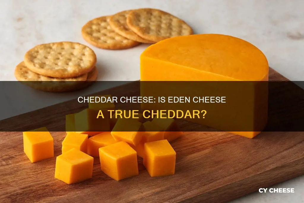 what kind of cheddar cheese is eden cheese