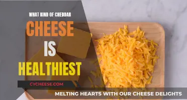 Cheddar Cheese: Choosing the Healthiest Option