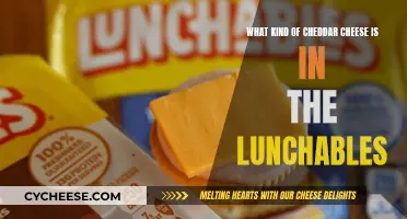 Cheddar Cheese Mystery: Unveiling Lunchables' Secret Recipe