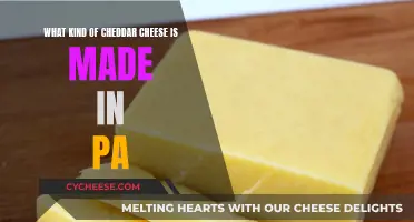 The Cheddar Cheese of Pennsylvania: A Local Favorite