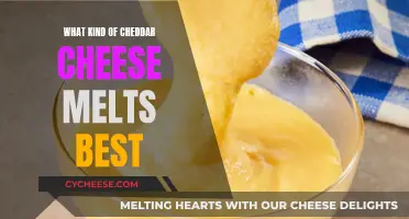 Cheddar Cheese Melting: Best Varieties and Tips