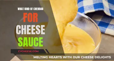 Best Cheddar Options for a Creamy Cheese Sauce