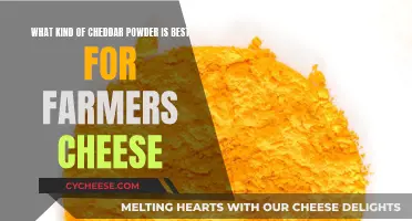 Cheddar Powder Choice for a Farmer's Cheese