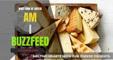 Cheese and Personality: A Buzzfeed Quiz