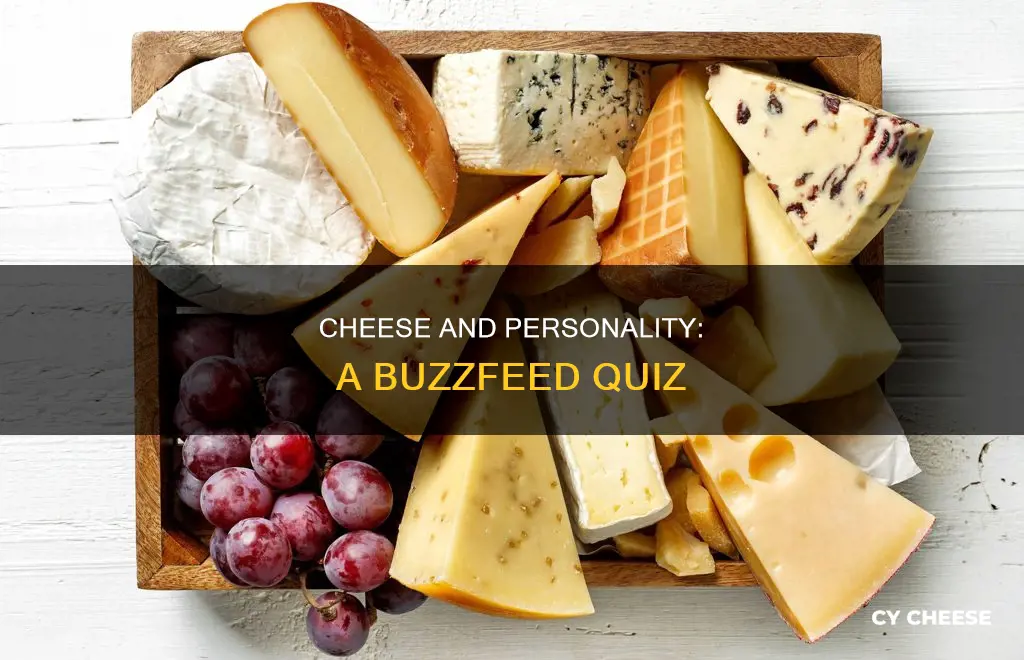 what kind of cheese am i buzzfeed